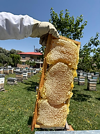 Kara Kovan Balı - 1000gr