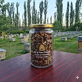 Ham Propolis 100 gr - Doğal Arı Tutkalı