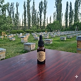 Su Bazlı Propolis Damla 20 ml - Propolis Ekstresi