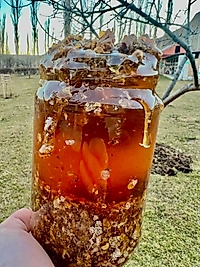 Sırlı Bal - 1000 gr