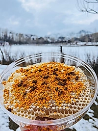 Kara Kovan Balı - 1000gr
